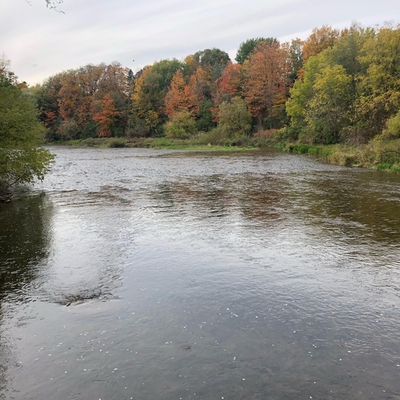 Meet your Posher, Luisa - Picture 11 of 13